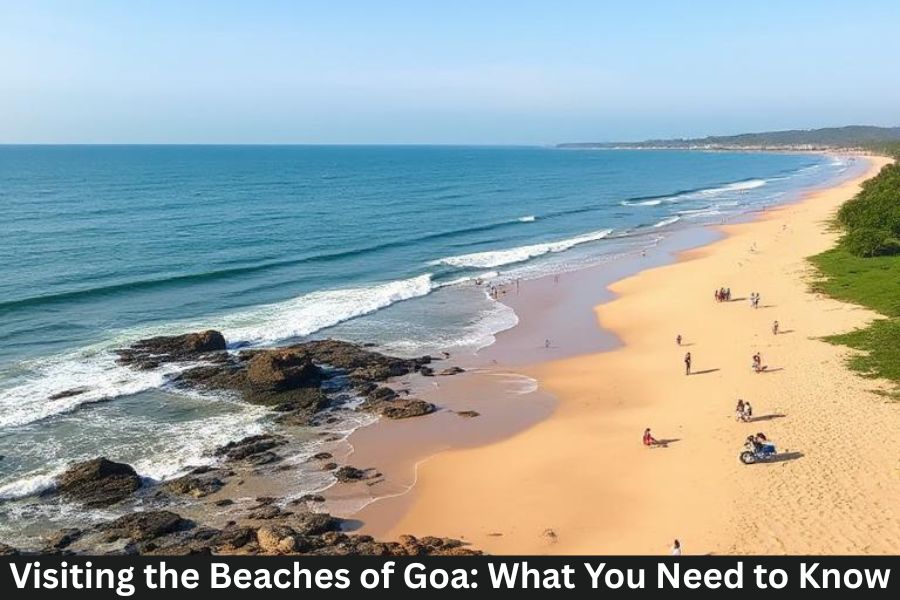 Visiting the Beaches of Goa: What You Need to Know